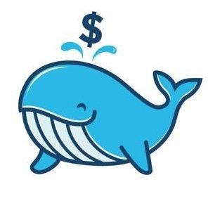 MR Whale pfp