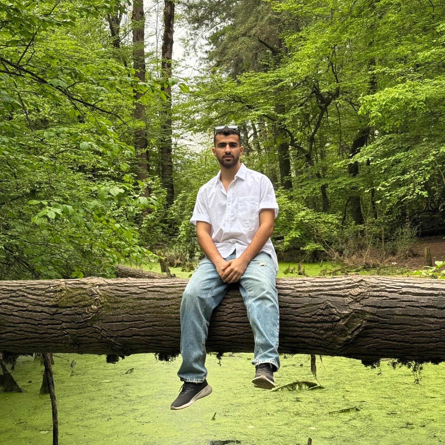 Mohammadakbari pfp
