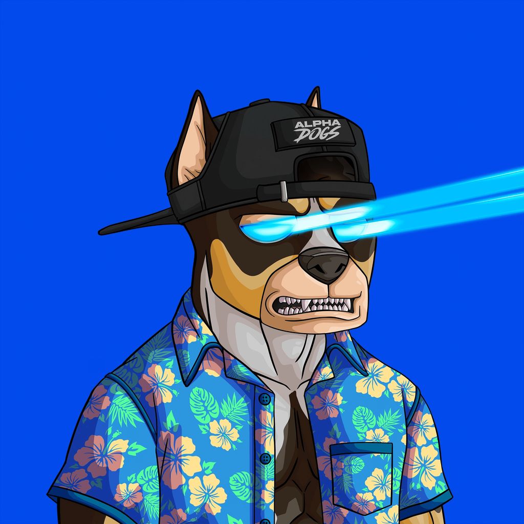 GK pfp