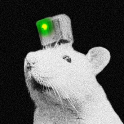 ImJacks 2D Animated pfp