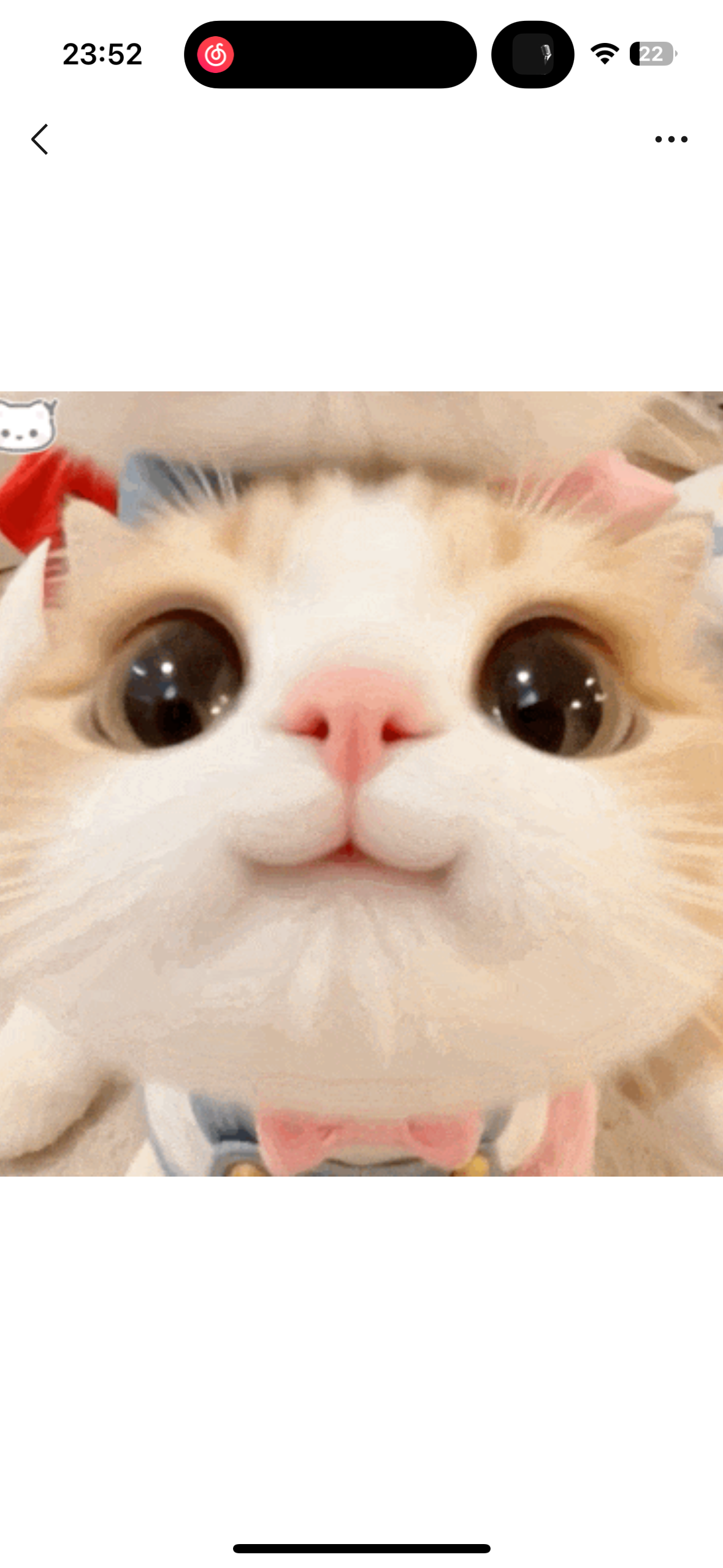 Mewi (meewi) Farcaster social identity (Fname handle) PFP