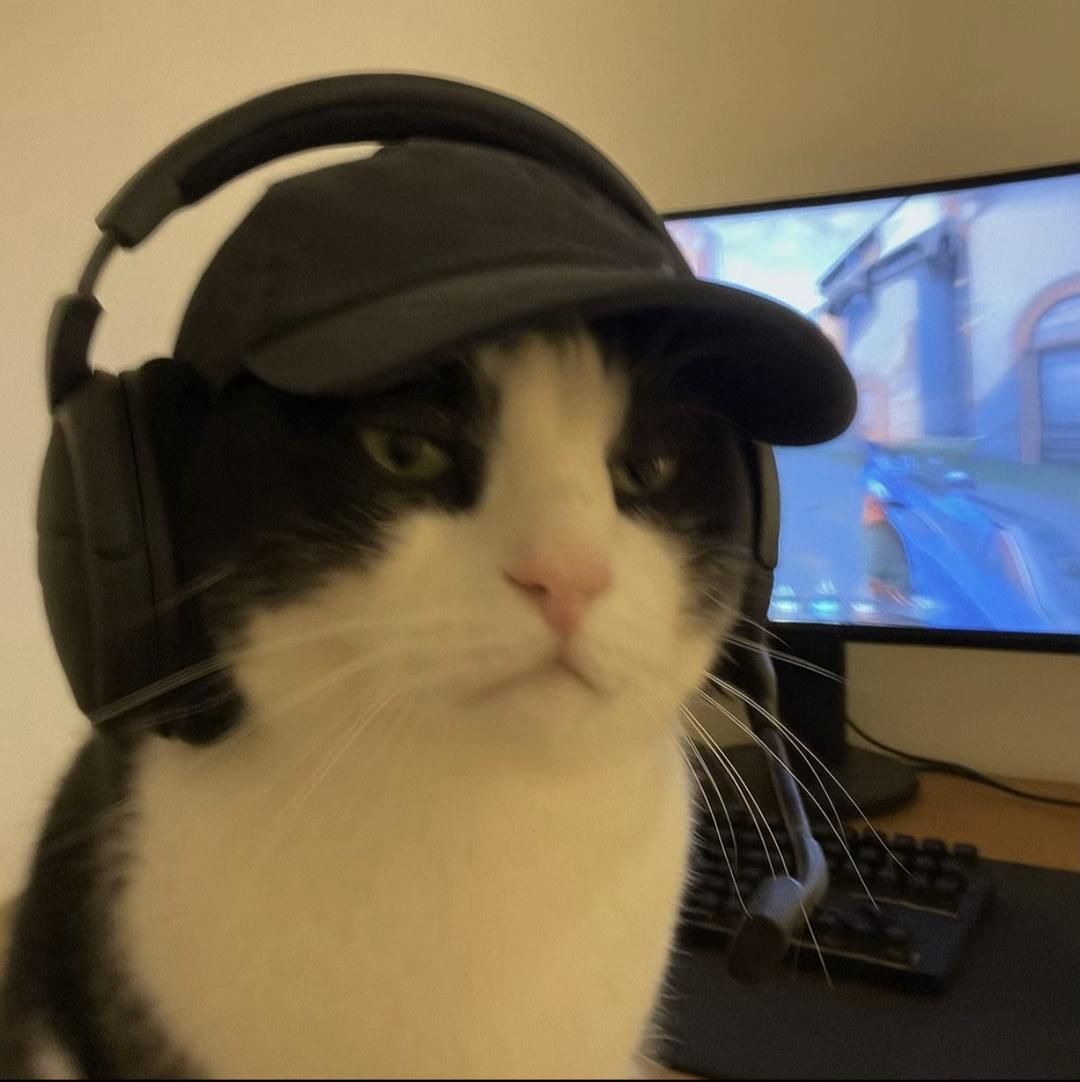 Cryptonoid 👾🐱 pfp