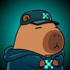 criptoman.eth pfp