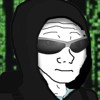 0xvaidhik pfp