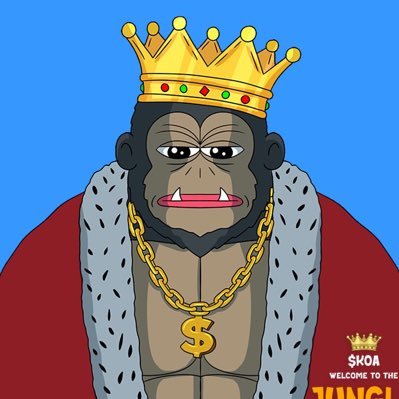 KOA pfp