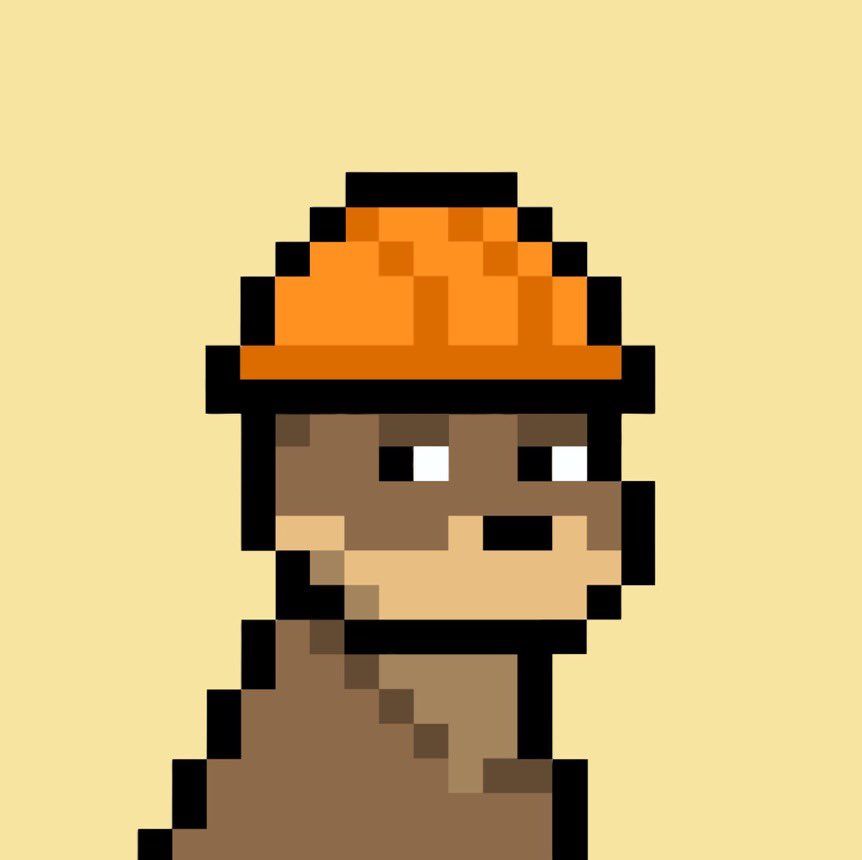 Parsa pfp