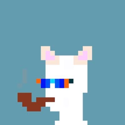 416 pfp