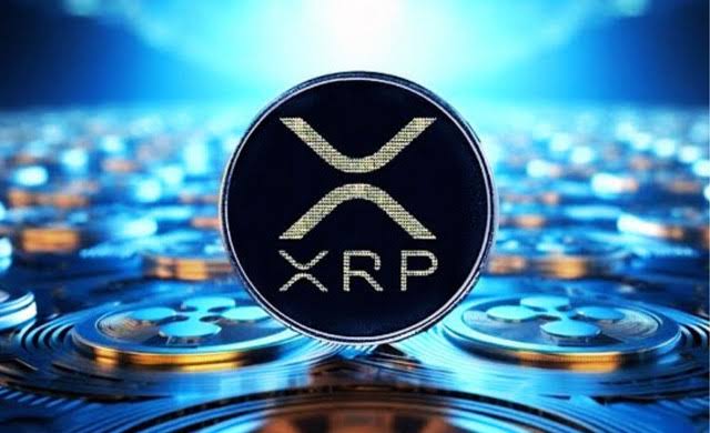 XRP pfp