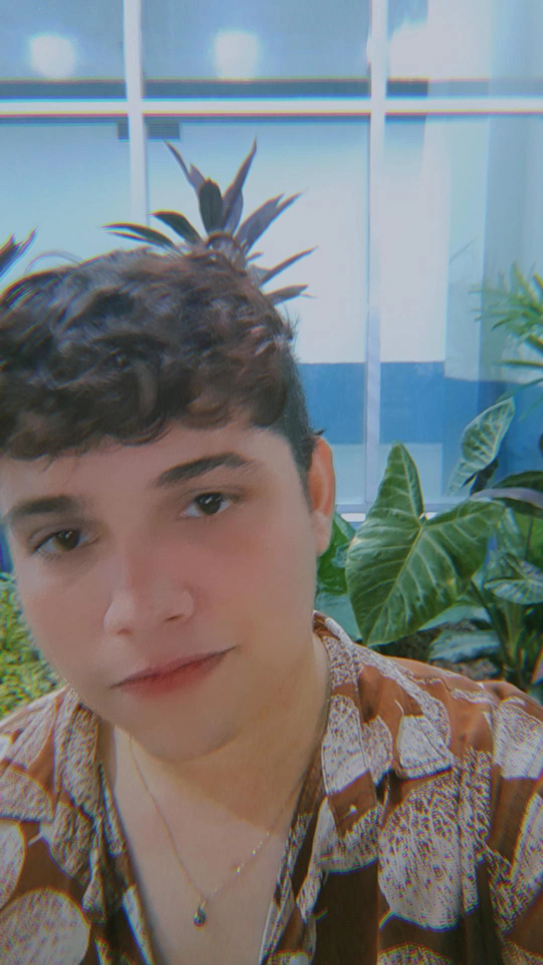 @Sanr12 pfp