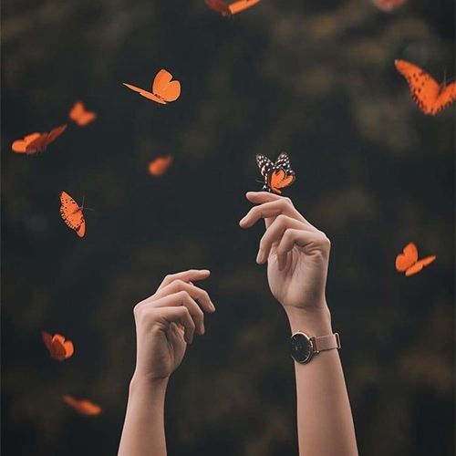 Yas (0xzm) Farcaster social identity (Fname handle) PFP