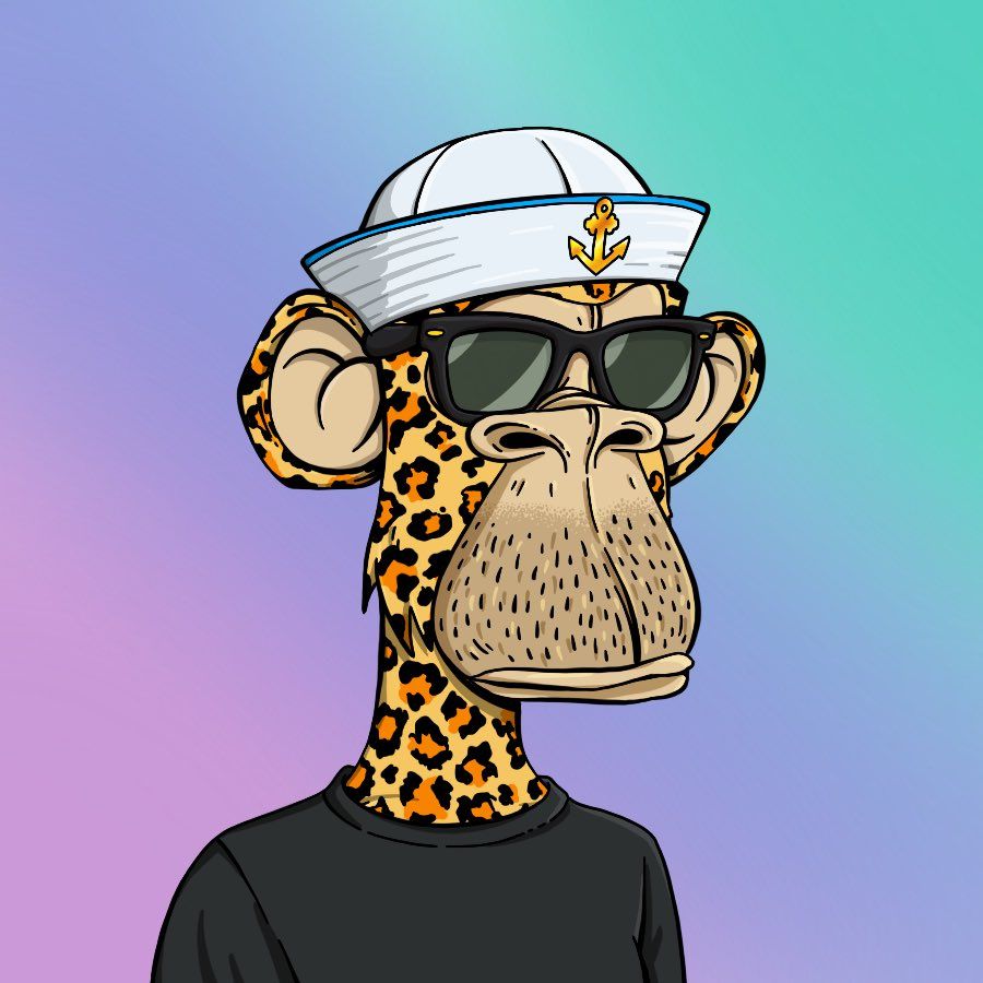 Yassine pfp