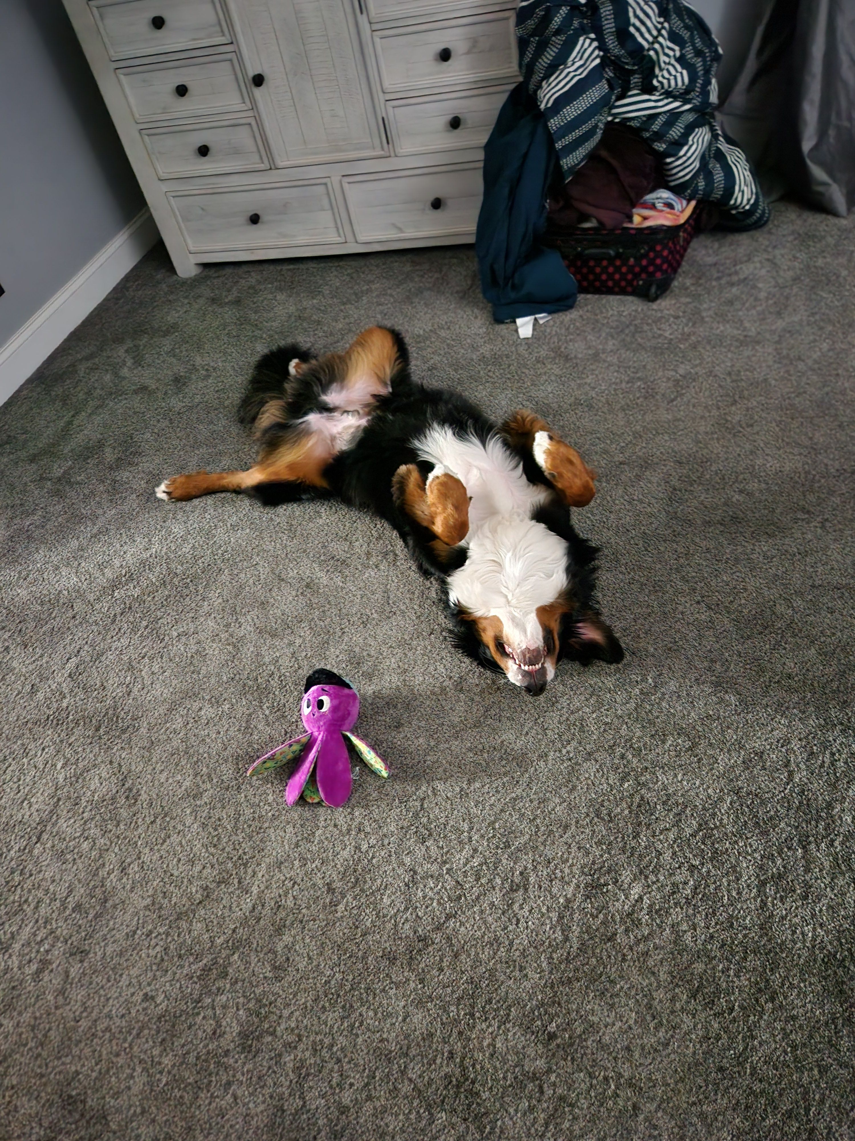 Bryan (bgard17) Farcaster social identity (Fname handle) PFP